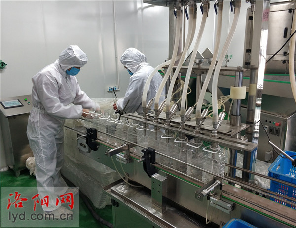 洛陽(yáng)生物技術(shù)企業(yè)晝夜奮戰(zhàn)擴(kuò)產(chǎn)能 全力保障防疫物資供應(yīng)