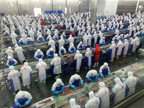 價格大跳水，潛江龍蝦如何應對市場波動——記者一線調研產業鏈各環節的“穩定器”